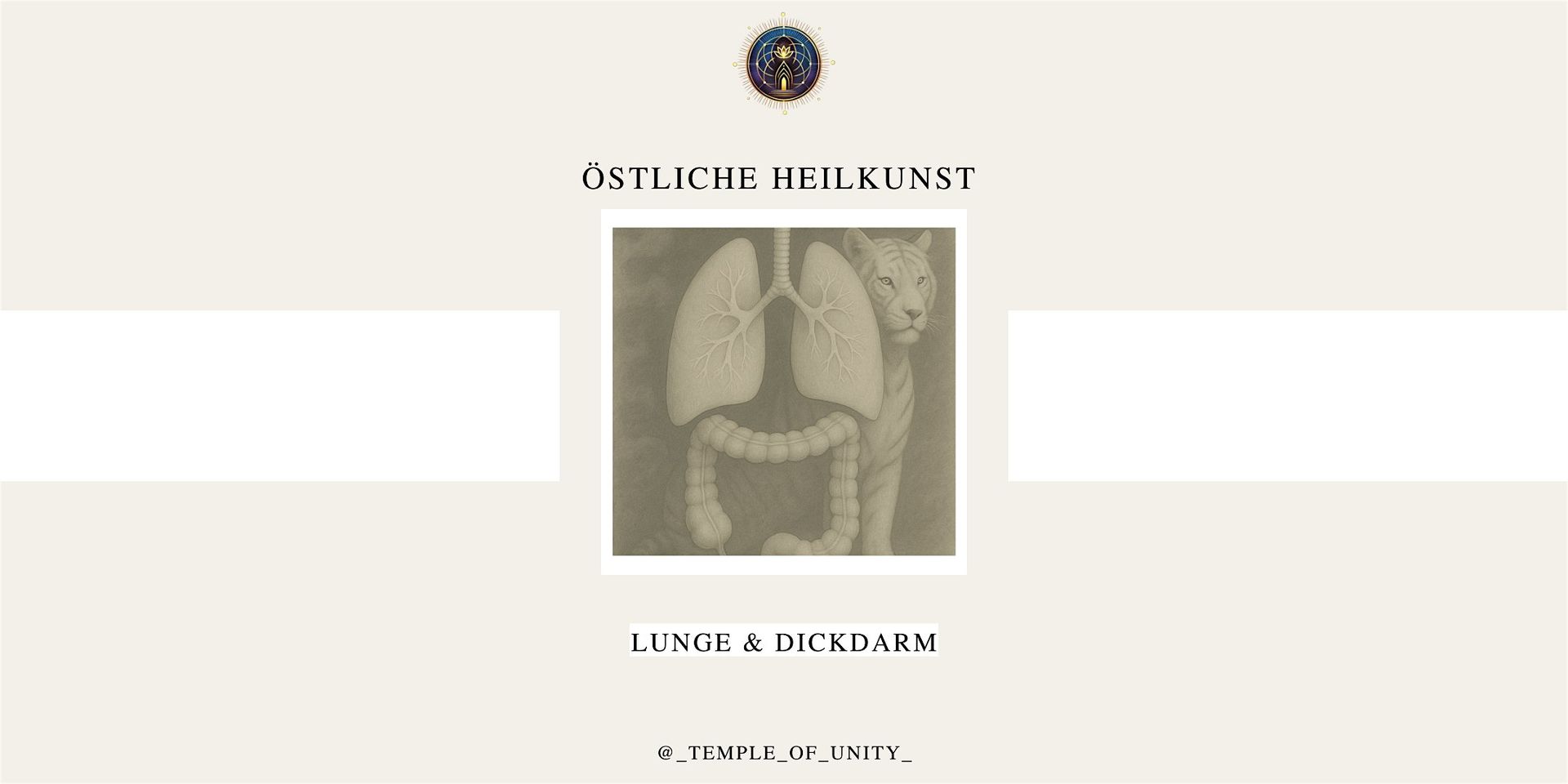 Östliche Heilkunst Workshop - Element Metall - Lunge & Dickdarm