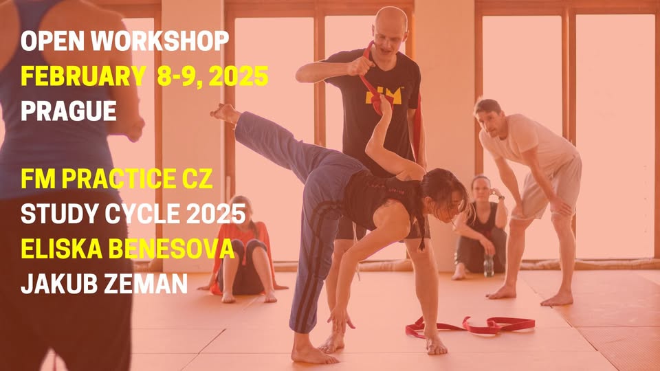 Open Workshop February - FM Practice CZ