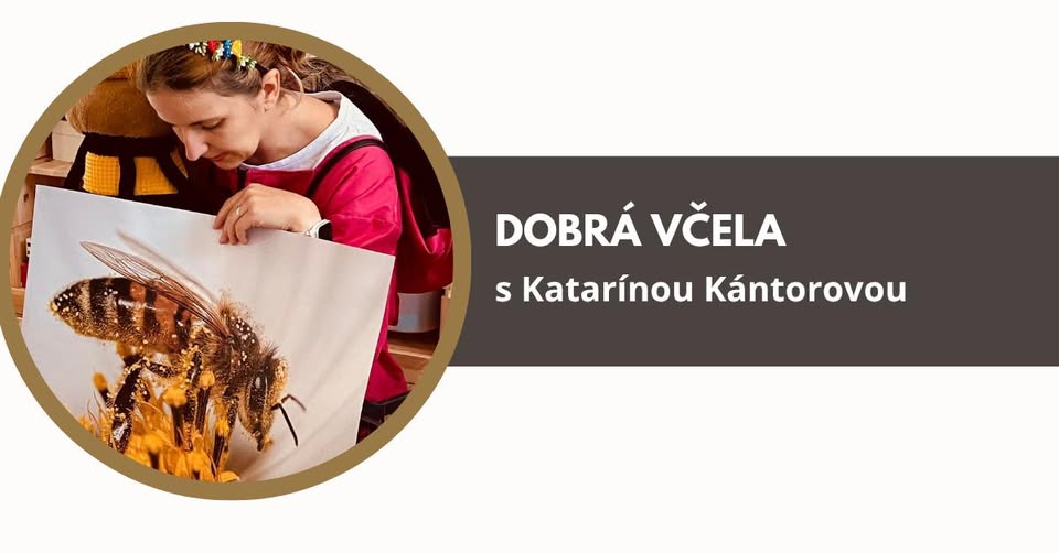 Letný workshop: Dobrá včela - Katarína Kántorová