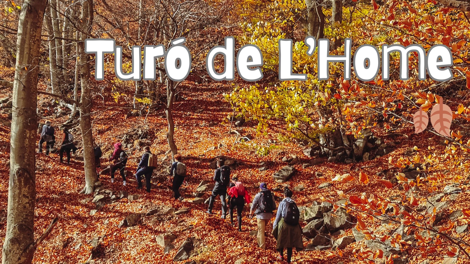 🔥8 plazas 🙋🏼‍♀️20-45 🚌 BUS 🍂 Turó de L'Home 🍁 Intermedio 11km 💪🏽