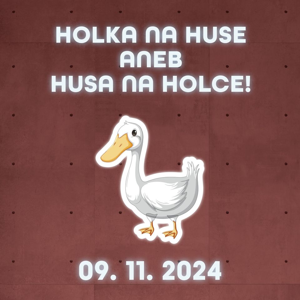 HolKa na huse aneb husa na Holce!