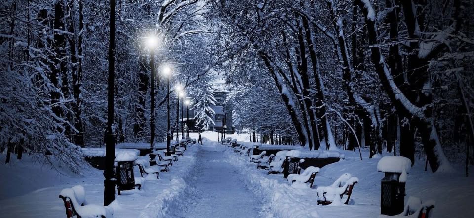 Songs for a Winter's Night