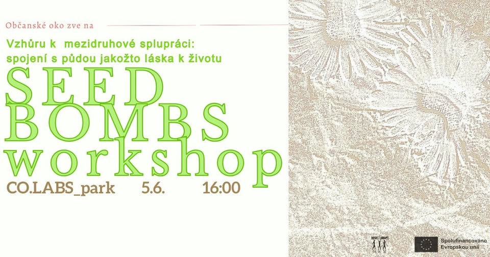 Workshop: výroba SEED BOMBS