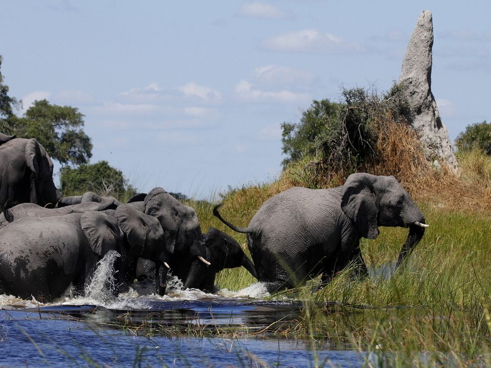 Nové Zámky – Cestou necestou – Na naháči svetom: Severná Amerika a Expedícia Botswana
