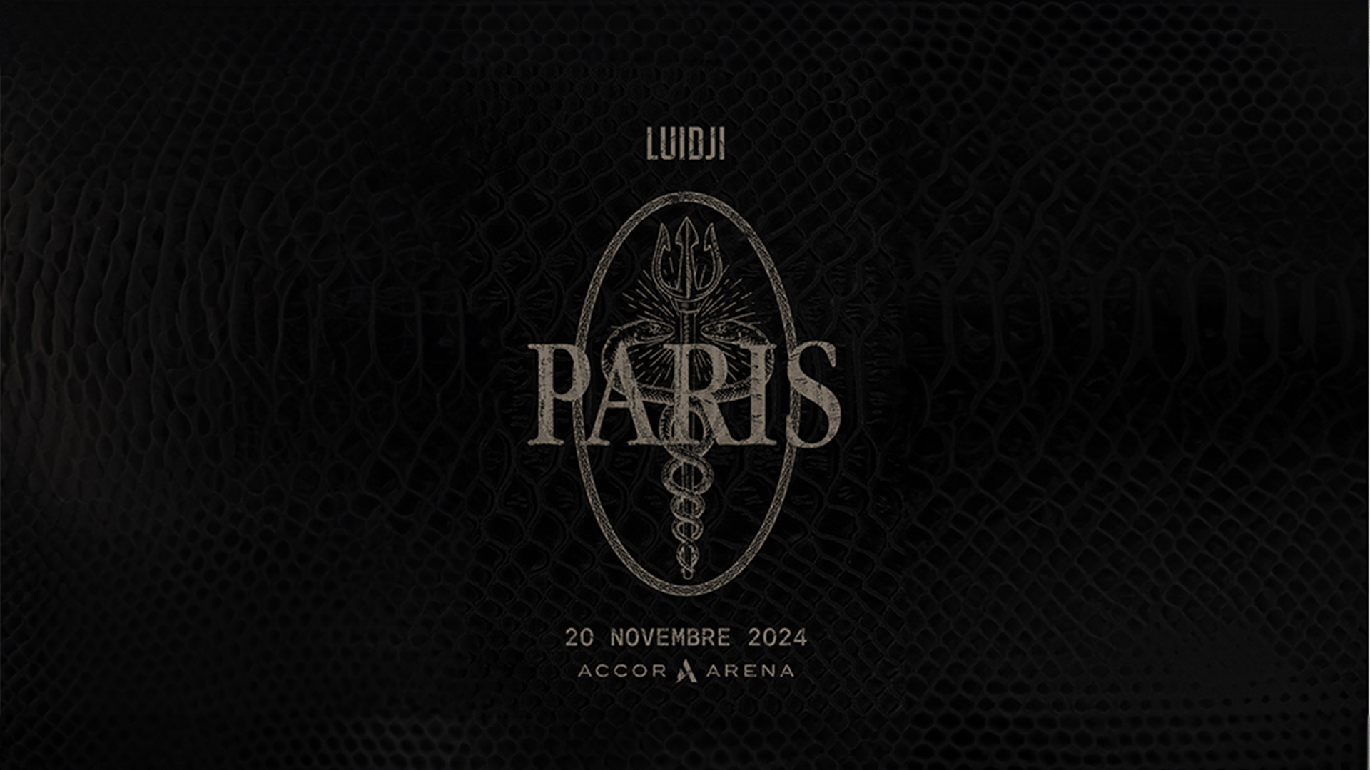 Luidji┃Accor Arena, Paris