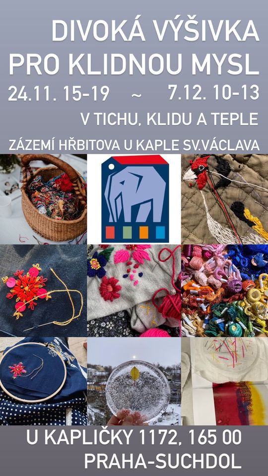 DIVOKÁ VÝŠIVKA PRO KLIDNOU MYSL - AMBROŽSKÁ