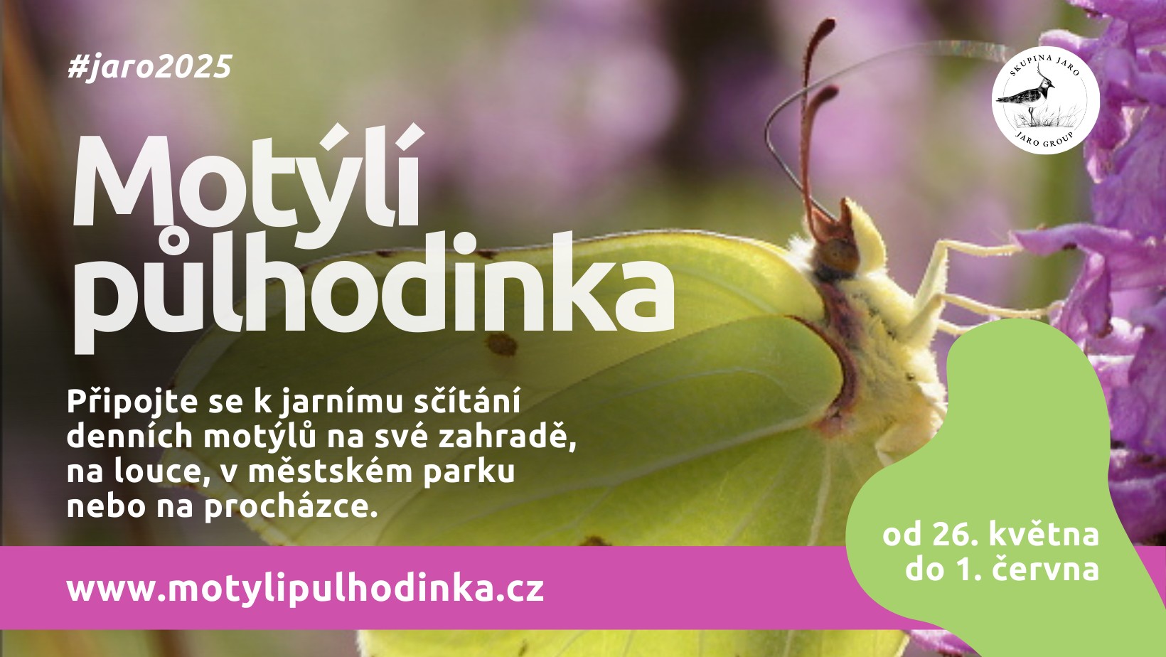 Motýlí půlhodinka