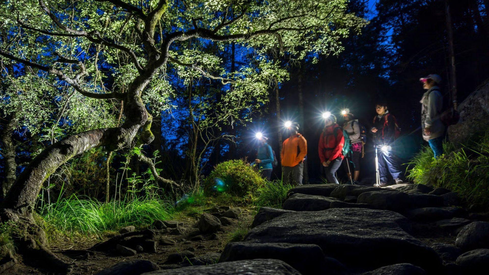 🎃💀Night hike for Halloween in Collserola! 👻🧛