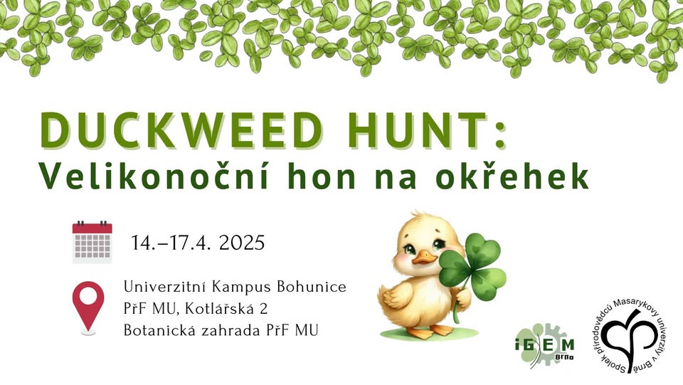 Velikonoční hon na okřehek