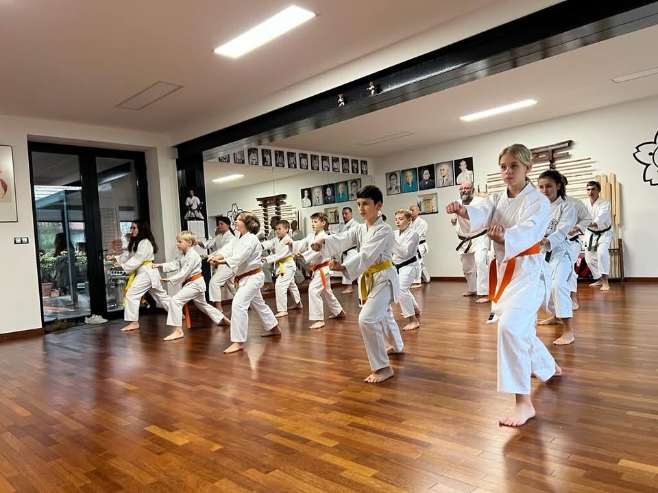 Seminár tradičného karate