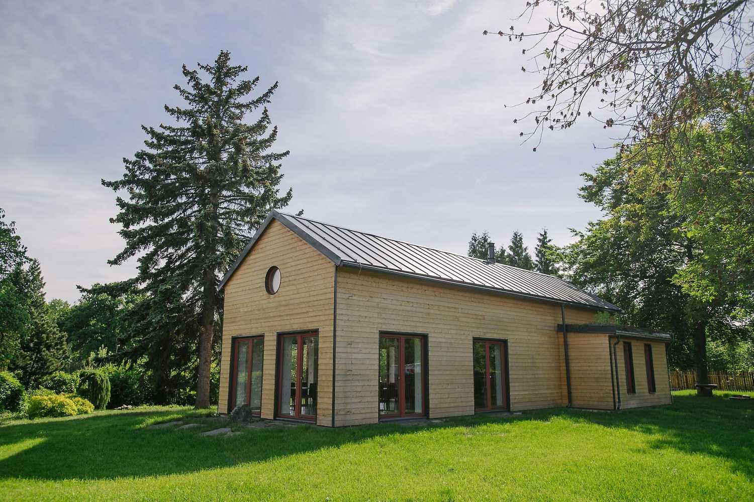 Městská džungle nebo Prales