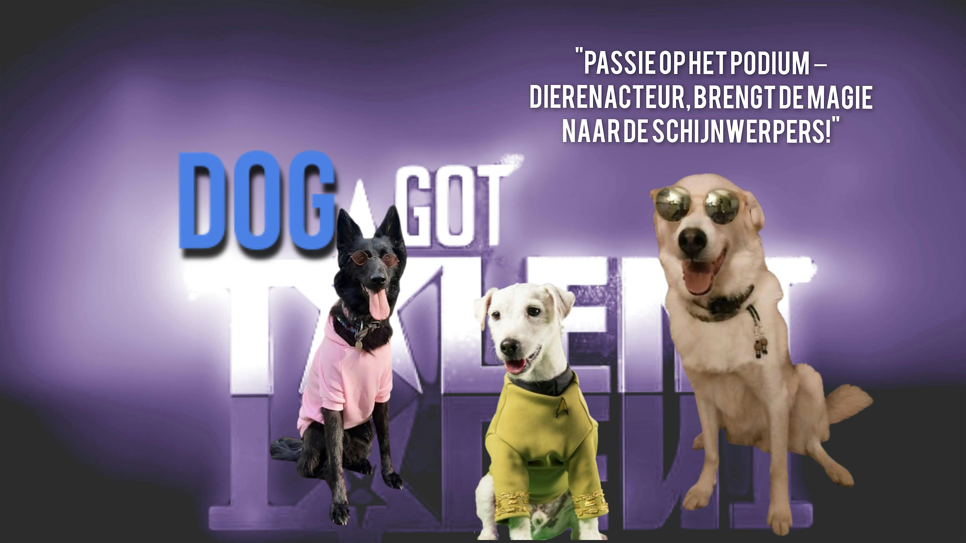 Discover the star in your animal - participate in our Animal Actor training!