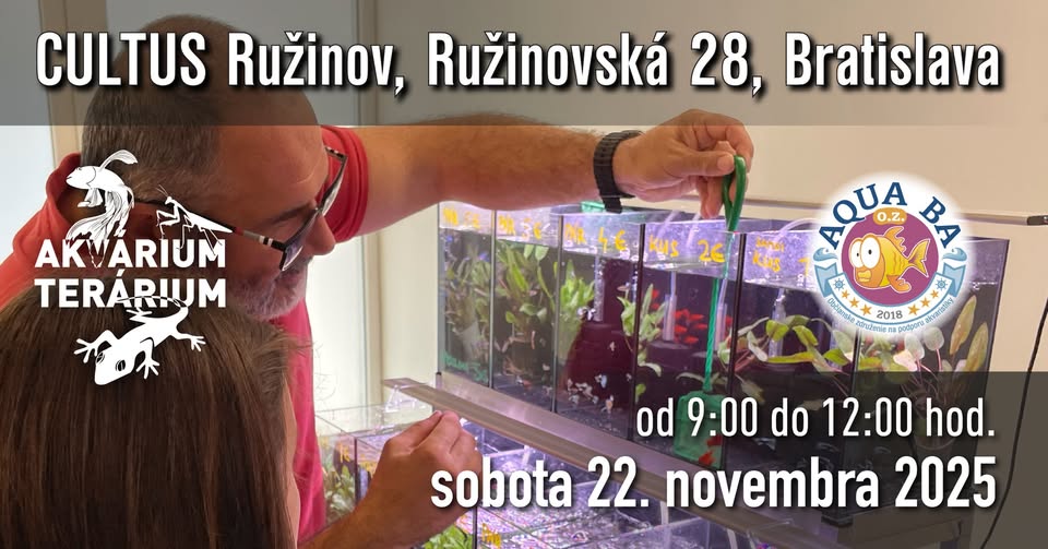 Predajná výstava Akvárium Terárium