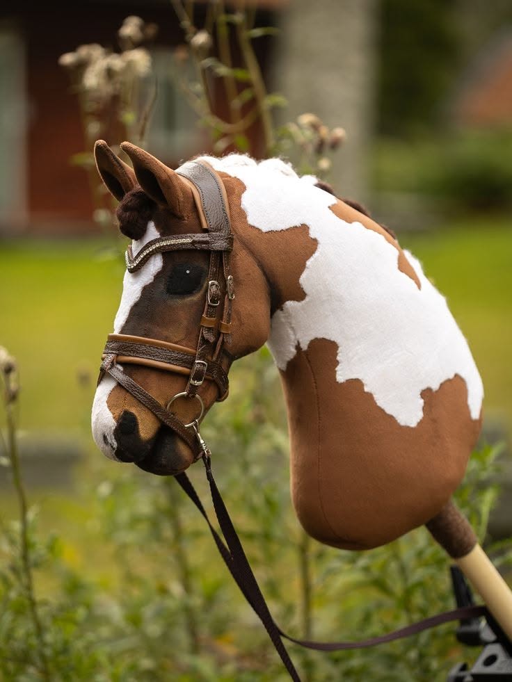 Hobby Horse příměstský tábor 5 - 15 let