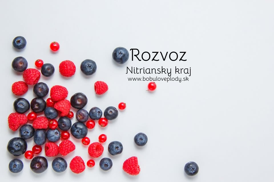 Bobuľové plody v Nitrianskom kraji