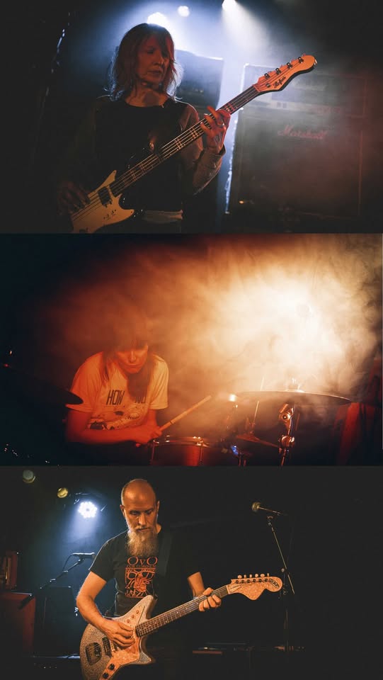 8MM Live: TAVARE
