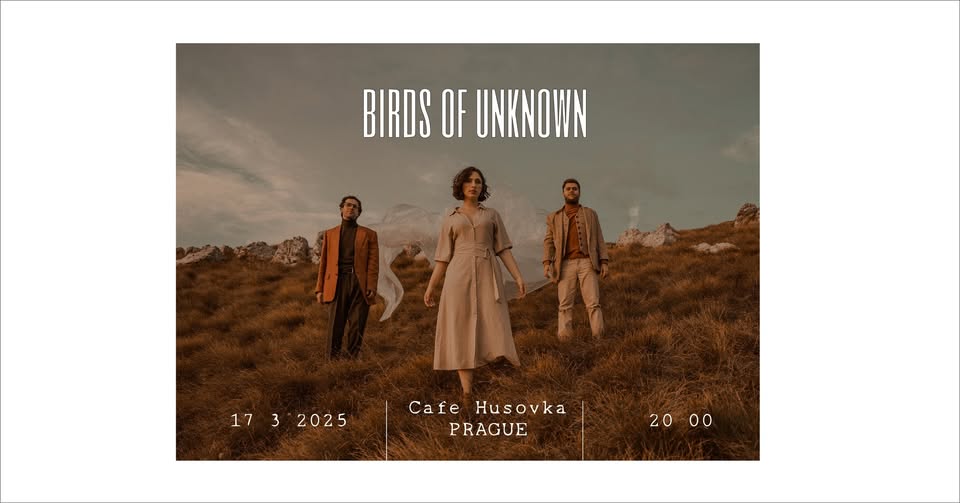 birds of unknown | Husovka | 17.3.
