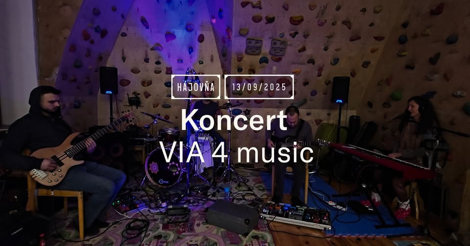 Koncert VIA 4 music