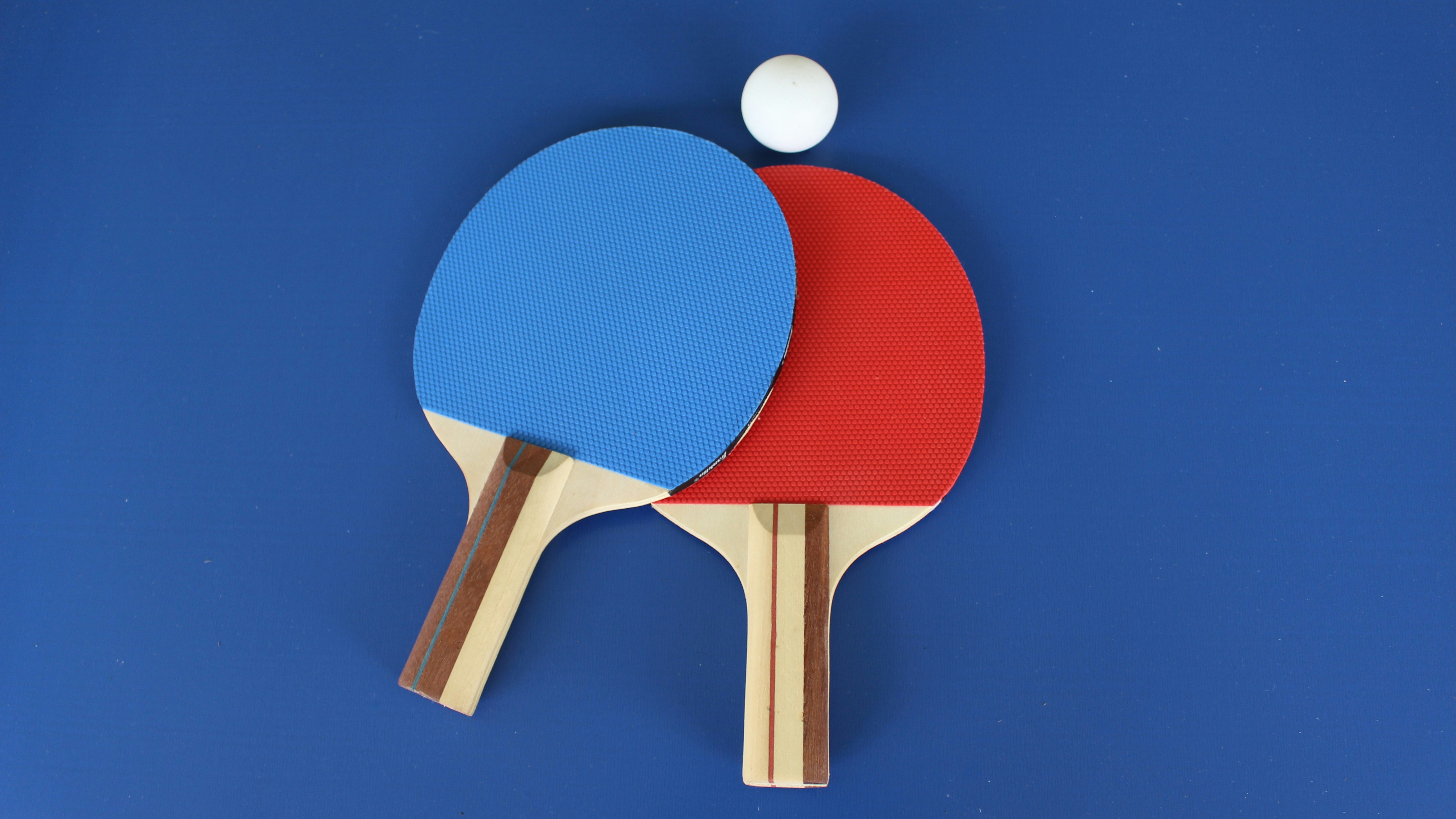 Ping Pong (Table Tennis)