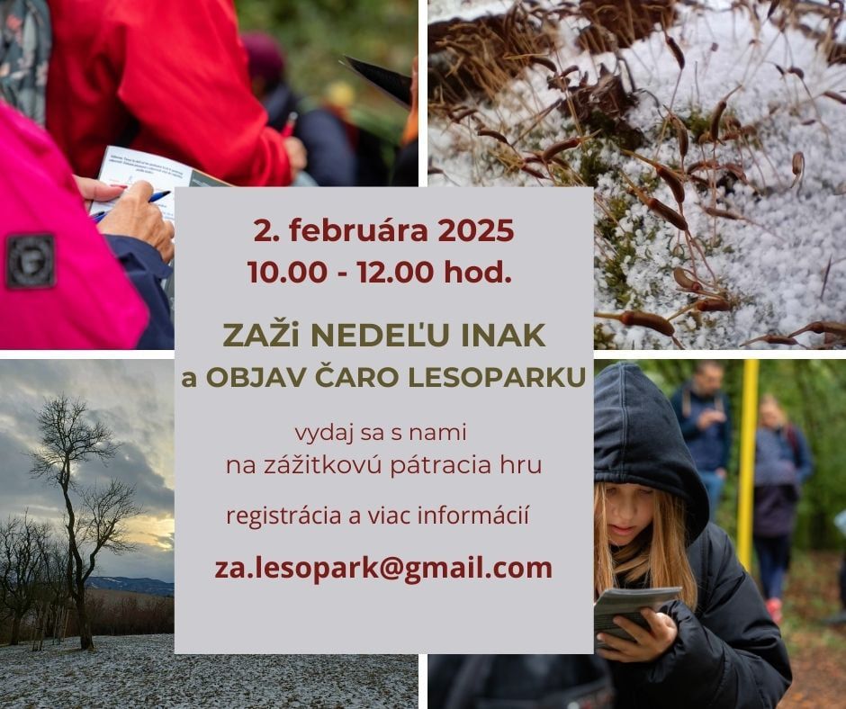 Objav čaro Lesoparku