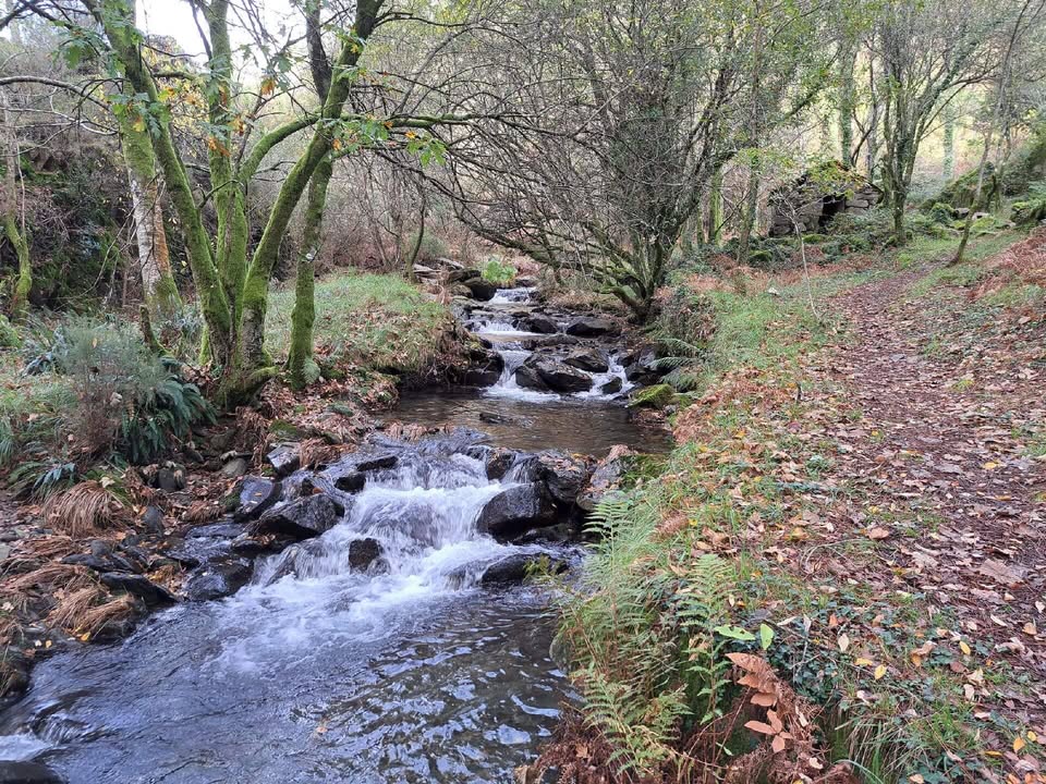 Caminhando na Serra do Marão e Amarante