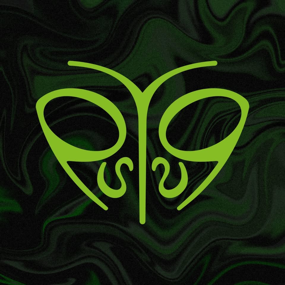 1 YEAR psYsq!