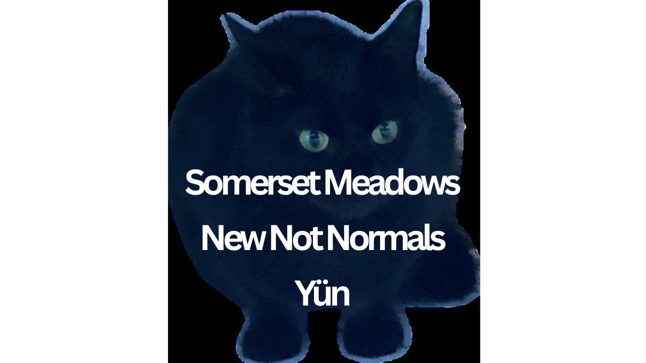 Somerset Meadows, New Not Normals, YÜN