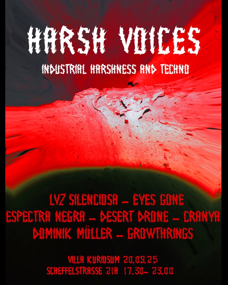 HARSH VOICES