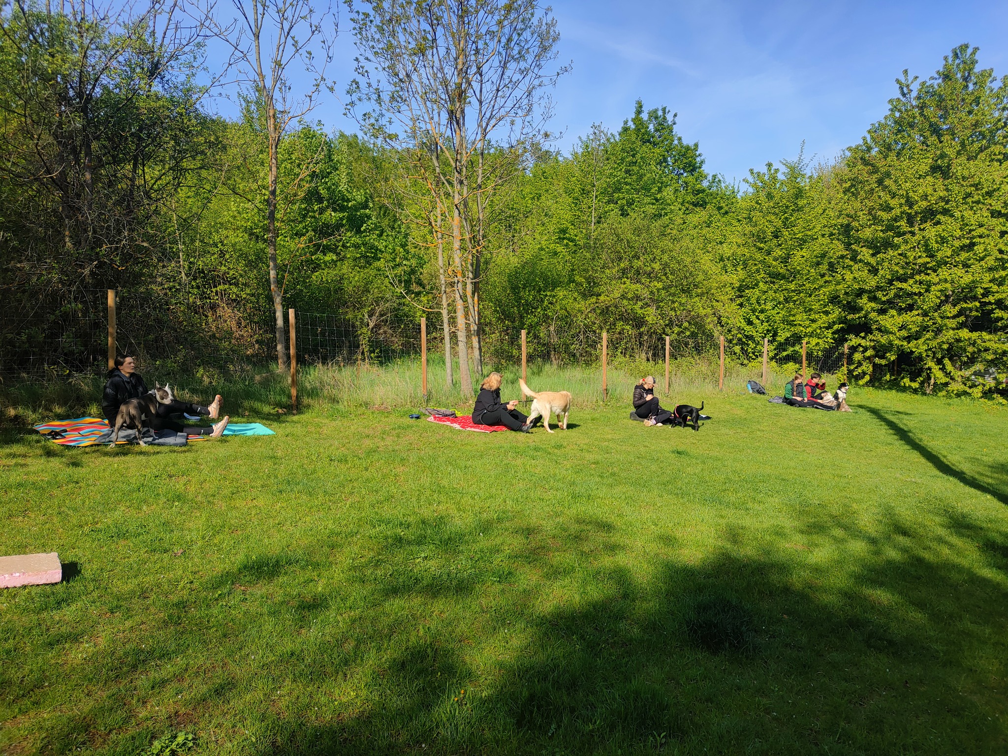 Walk & Relax Socialization