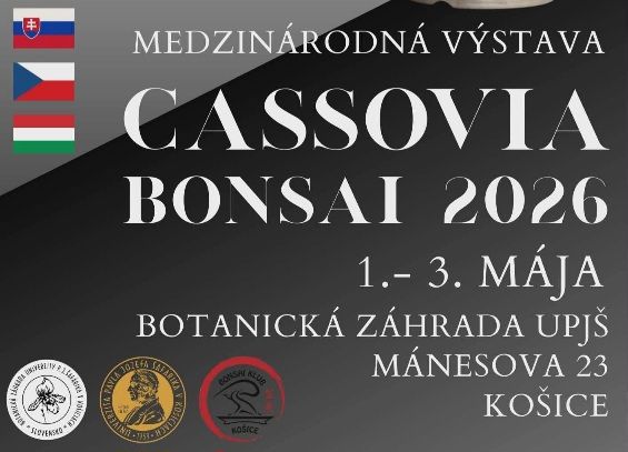 Cassovia BONSAI 2026