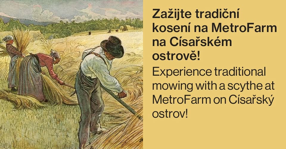 Kosení trávy na komunitní zahradě MetroFarm