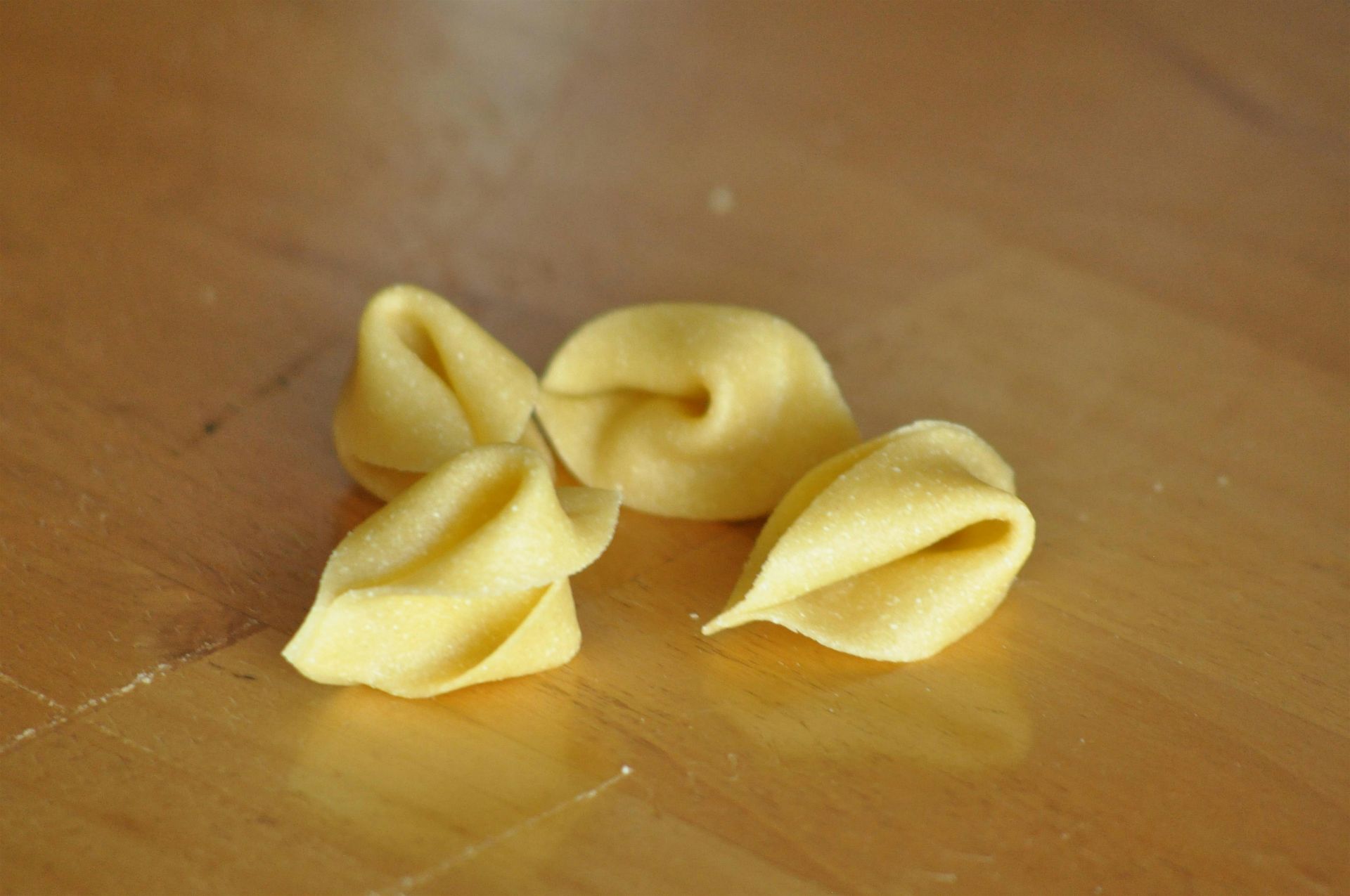 Hands on Pasta Making Workshop at JoLa