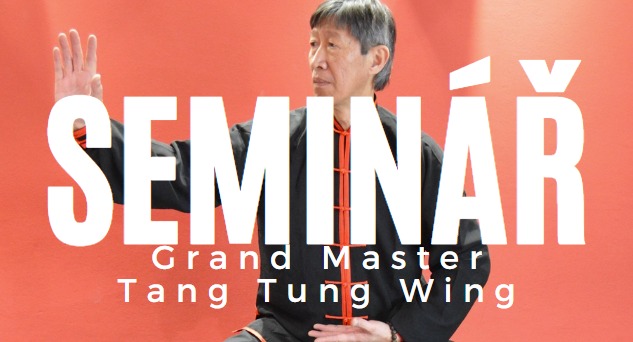 Semináře s Grand Masterem Tang Tung Wingem