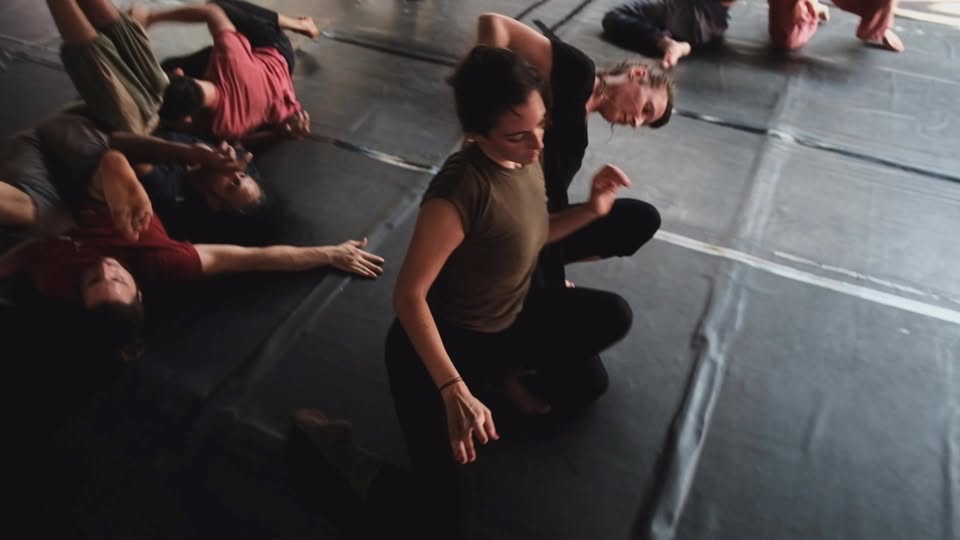 FLY LIKE A BIRD – LAND LIKE A CAT - 3 DAY INTENSIVE IN AMSTERDAM