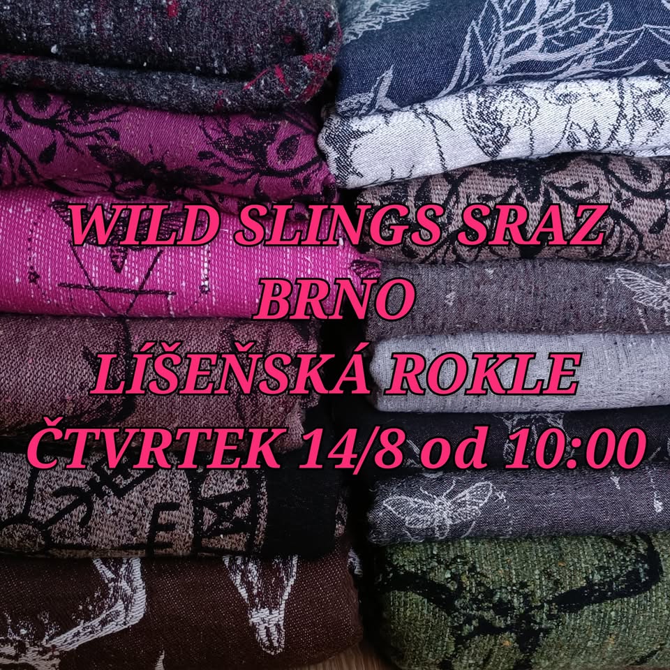 Wild Slings, Roar, DISO, Maison Croisette sraz v Brně