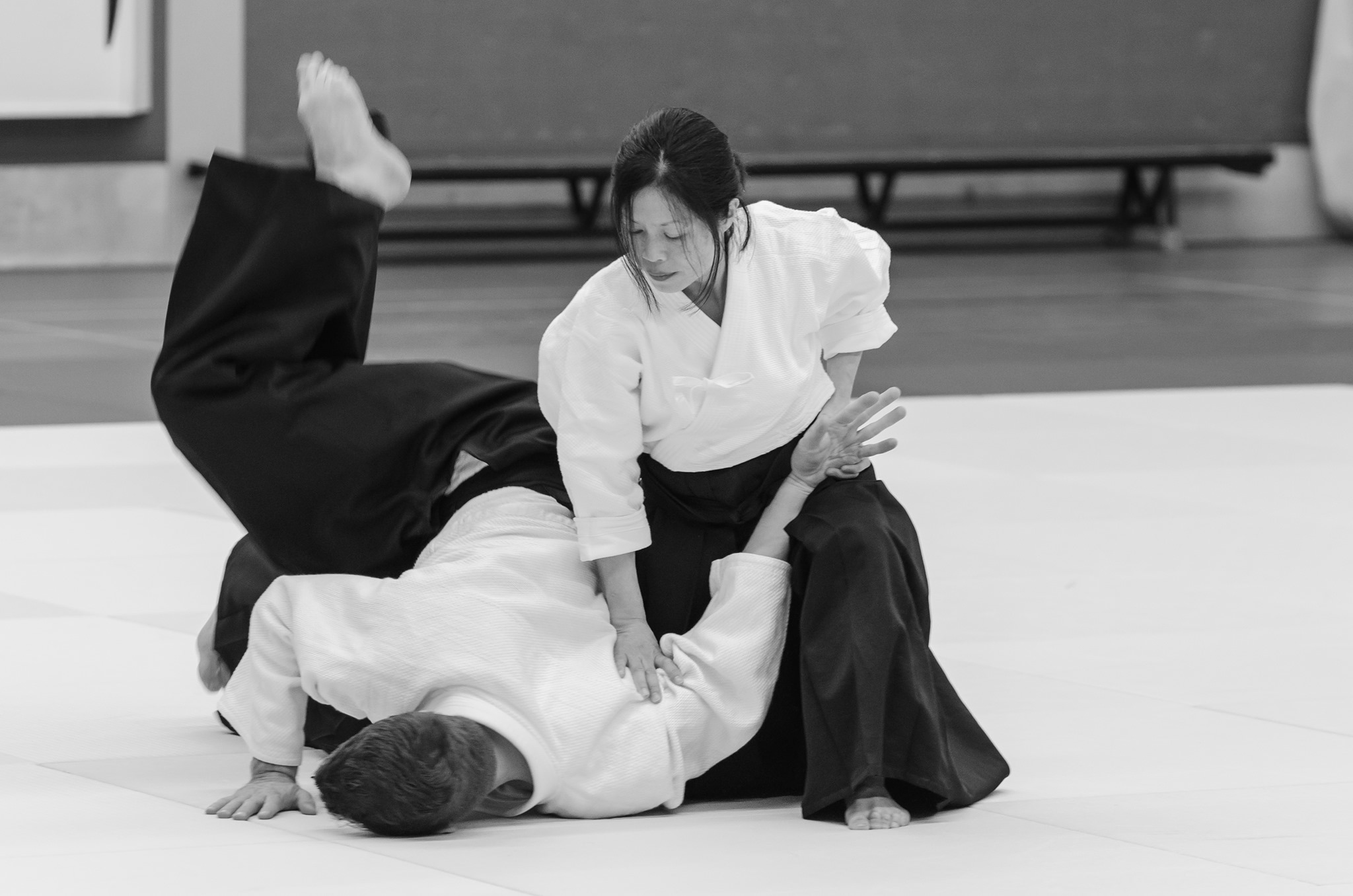 Nationale Shodan Voorbereidingstraining