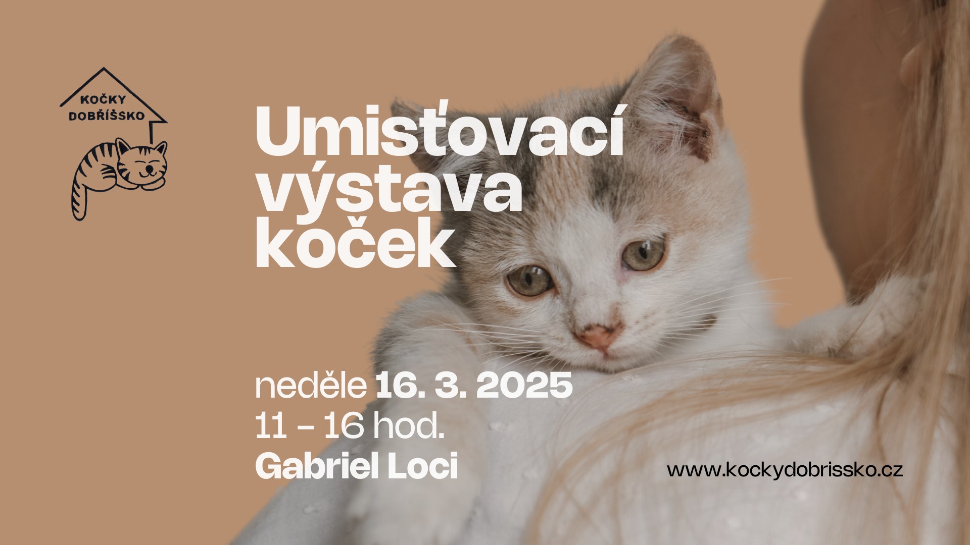 Umísťovací výstava koček v Gabriel Loci