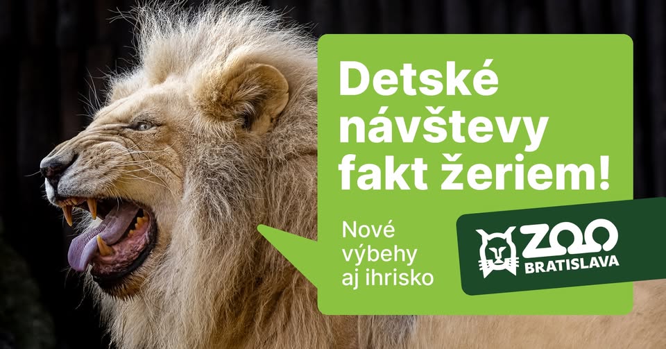 🐾 International Children's Day at ZOO