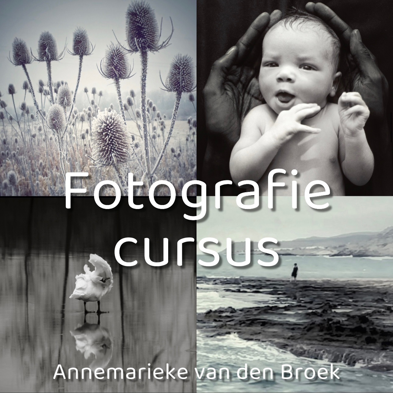 Fotografie cursus, 5 avonden, start 1 april