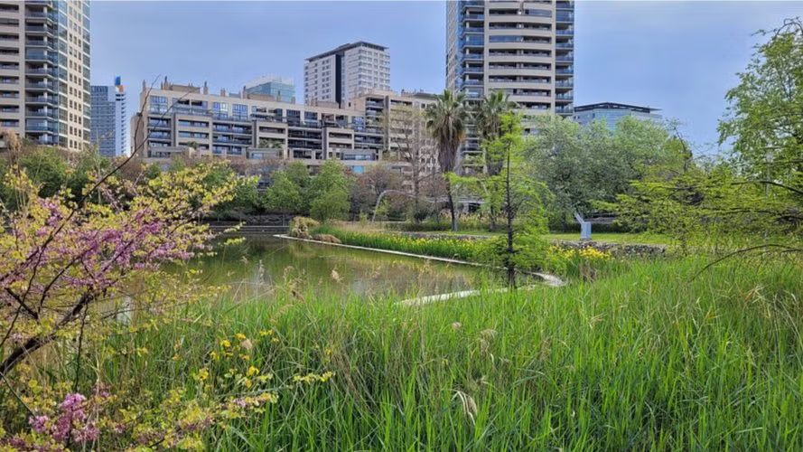 🍉🥕 Picnic and games at Parc Diagonal Mar  🥖🍕