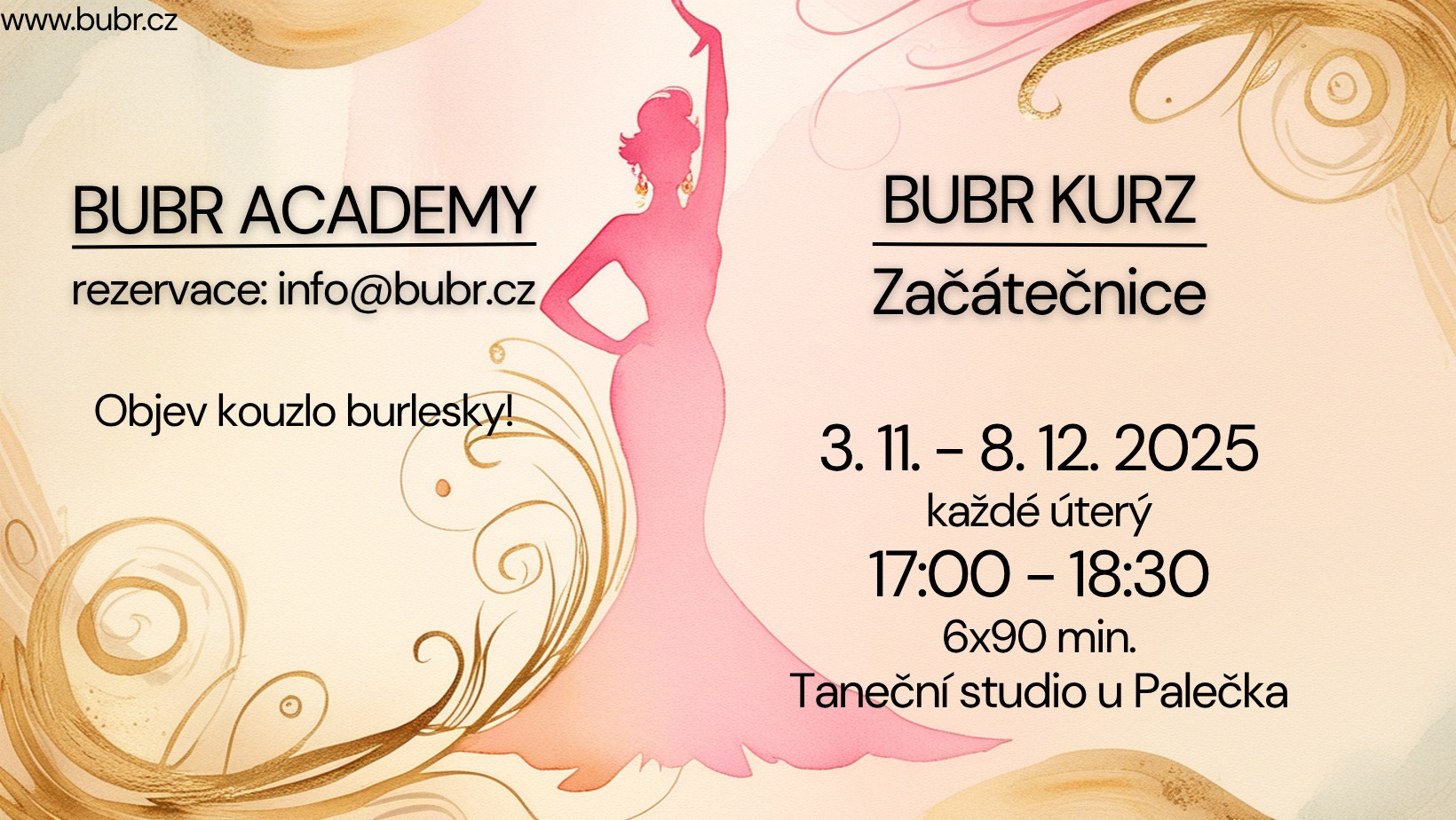 Bubr Academy: Beginner