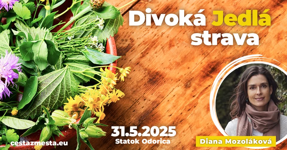 Divoká strava v prírode RÁNO - hosť Dida Mozoláková