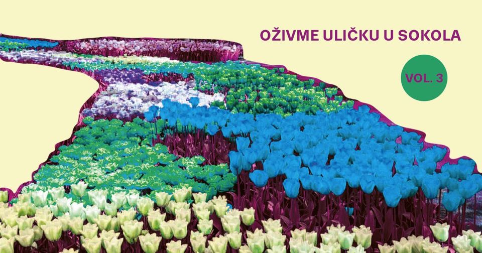 Oživme uličku u Sokola vol. 3