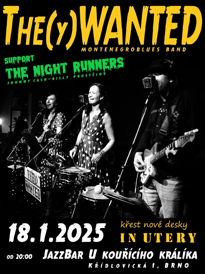 THE(Y) WANTED - Montenegro band