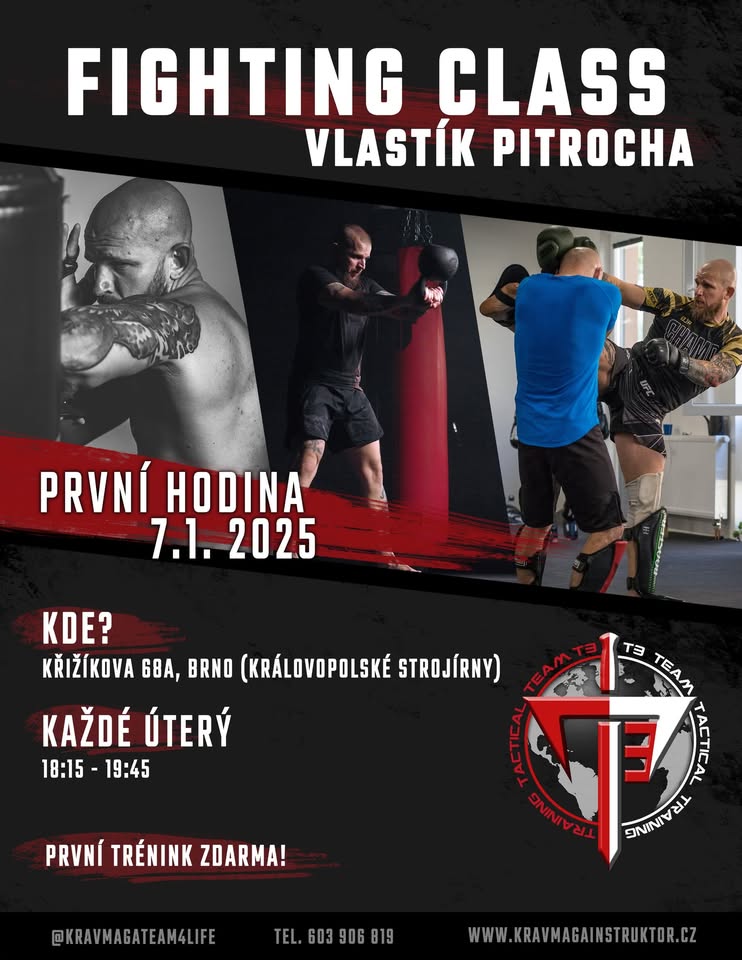 Krav Maga - Fighting class
