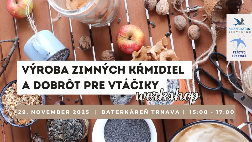 Výroba zimných kŕmidiel a dobrôt pre vtáčiky - workshop