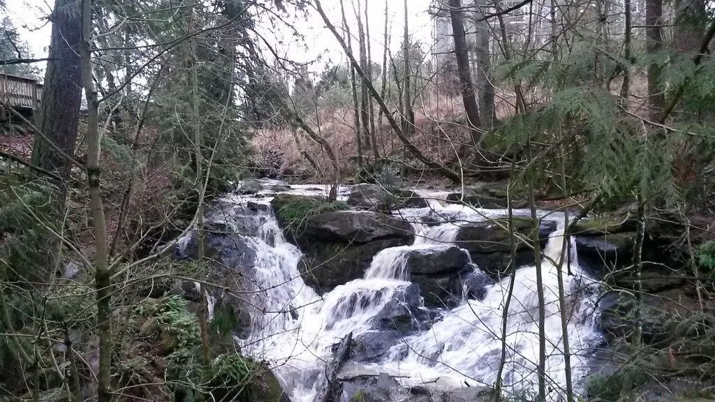 West Side - Cedar Mill Parks, Ponds, and Falls