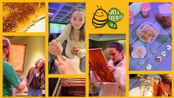 Pollinators, Honey, Bees, Bugs : Discover a New World and What’s Essential