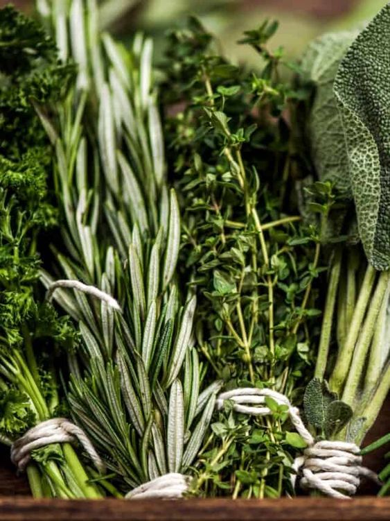 SPECIÁLNÍ BYLINKOVÝ KURZ ZÁKLADY AROMATERAPIE S DESTILACÍ BYLIN + NÁPOJ ČTYŘ ZLODĚJŮ