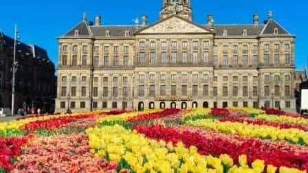 The Dutch Brainwash – 7 Day Intensive Course